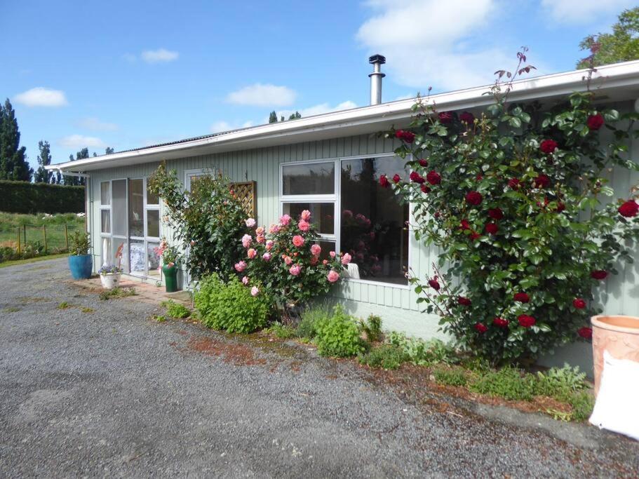 Rose Cottage, Country Escape Greytown Exteriér fotografie